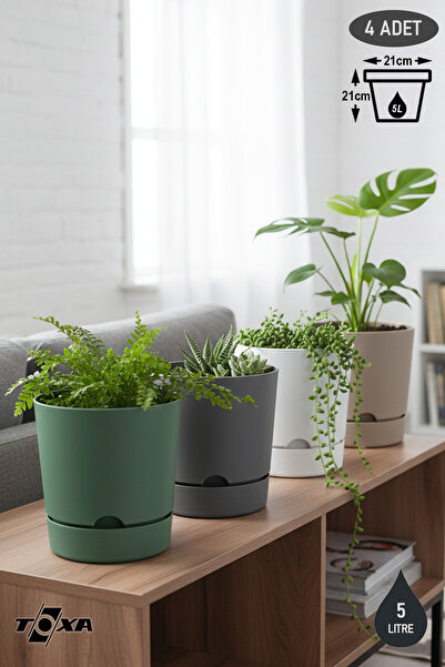 ToXA 4 Adet 5 Litre Karışık Begonya Saksı Tabaklı Dekoratif Mat Plastik Saksı