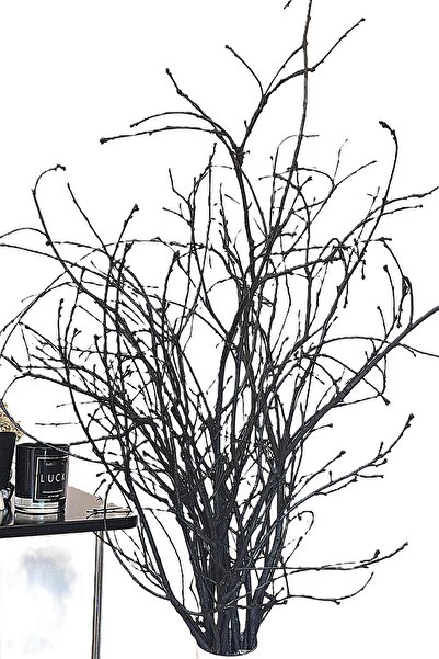 Senseist Botanicals Gerçek Kurutulmuş Ağaç Dalı Demeti | Siyah El Boyaması | 100 cm | Doğal Dekoratif Kuru Dal