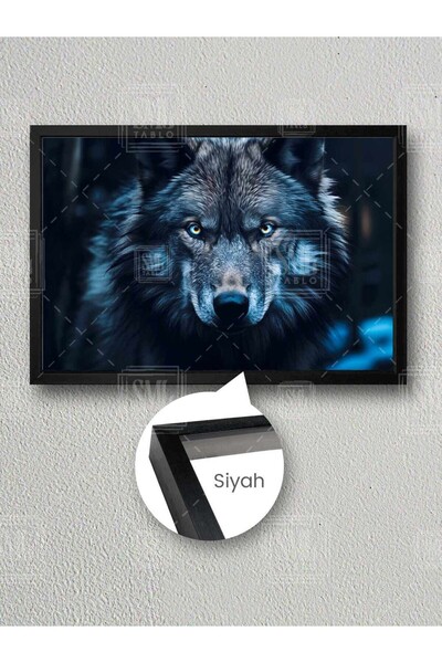 SML TABLO Mavi Gözlü Bozkurt Sibirya Kurdu Vahşi Mavi Gri Çerçeveli Kurt Yata...