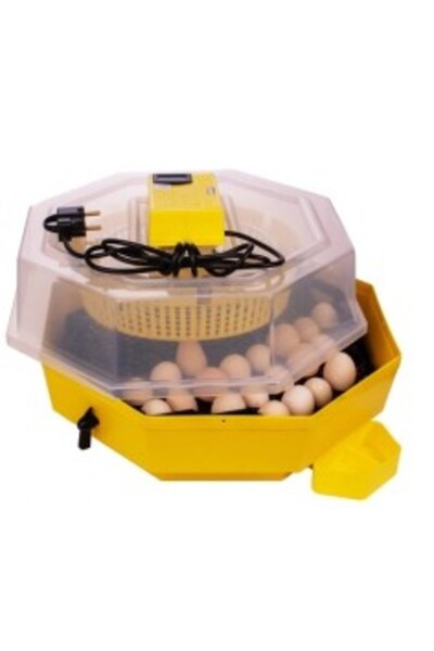 Cleo 5DT Electric Incubator with Turning Key and Thermometer