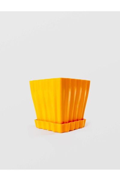 sterk Ghiveci TULIPE, STERK, 15 x 15 cm, Plastic, diverse culori