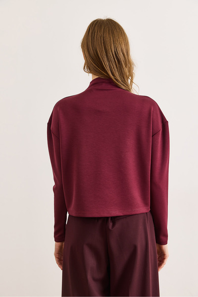 Olalook Women's Burgundy Mock Neck Modal Buttoned Blouse Blz-19003144