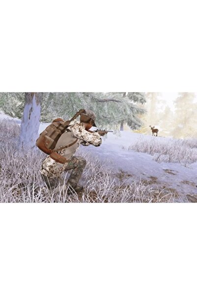 Bigben Interactive Hunting Simulator Game for NSW