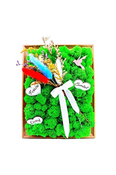 OEM Rama decorativa, cu licheni stabilizati, „ornata si mesaje pozitive”, han...