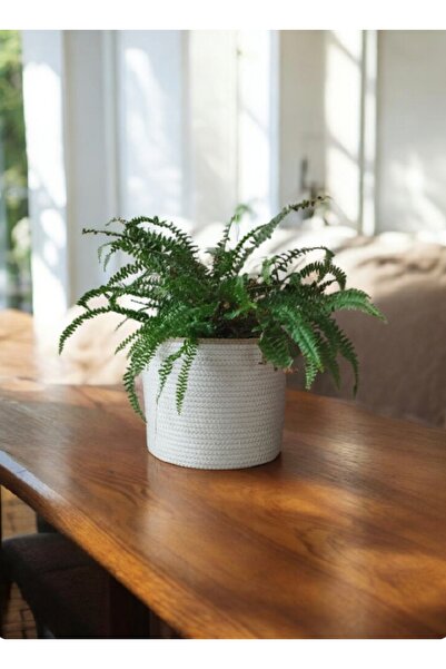 bayram taşcıoğlu home desing Multi-Purpose Organizer Basket Cobalt Warm Gift Basket