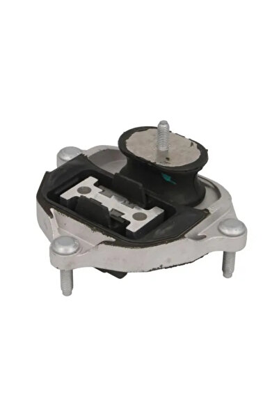 REINHOCH Suport Transmisie Automata Centru Audi A4 Allroad B8/A4 B8/A5