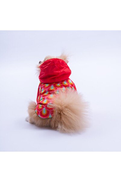 Pawstar Lisbon Sunset Kırmızı Gökkuşağı Desenli Köpek Mont Köpek Yağmurluk Köpek Kıyafeti Köpek Elbisesi