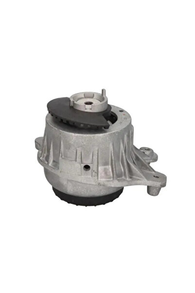 REINHOCH Suport Motor Stanga Mercedes-Benz C-Class