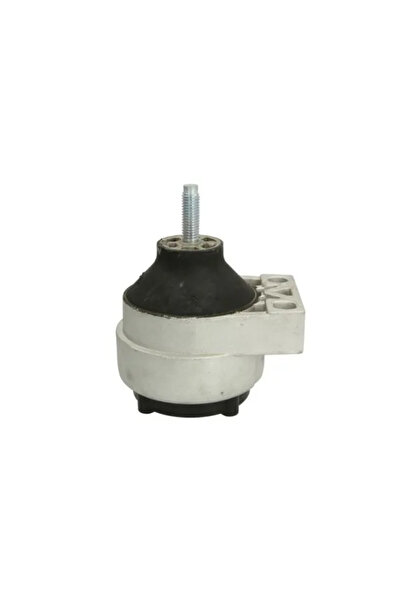 REINHOCH Suport Motor Dreapta Ford Focus 1/Focus 2/Tourneo Connect