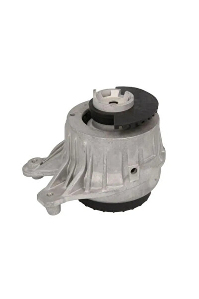 REINHOCH Suport Motor Dreapta Mercedes-Benz C-Class/E-Class