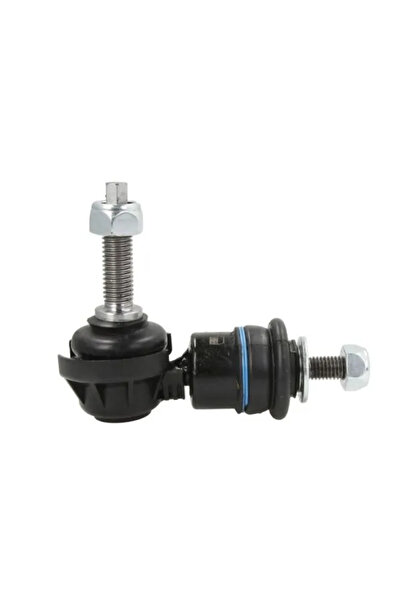 REINHOCH Brat/Bieleta Suspensie Stabilizator Axa Spate Dreapta Ford C-Max 2/F...