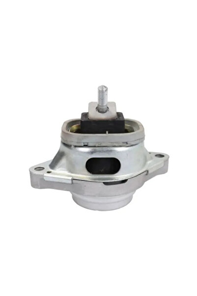 REINHOCH Suport Motor Punte Fata Land Rover Range Rover 3