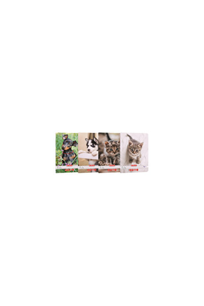 MultiColor A5 Notebook, Type I, 36 Sheets, 80 g/m²