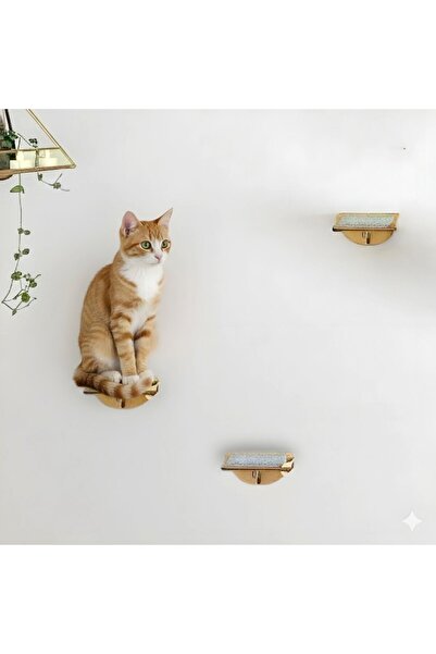 CatraWorks رف تسلق للقطط، منحدر حائط للقطط، منصة مشي على الحائط