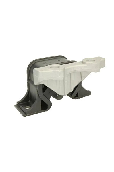 REINHOCH Suport Motor Dreapta Opel Combo Tour/Corsa C/Meriva A Microbus