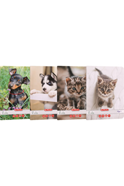 MultiColor A5 Notebook, Type I, 36 Sheets, 80 g/m²