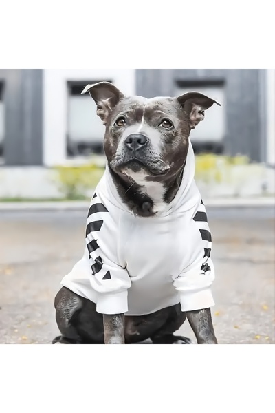 petite pati Thick Black Printed Dog Clothes Sweatshirt with Necklace