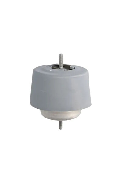 REINHOCH Suport Motor Stanga Audi A3/A4 B5/A4 B6 1997-2010