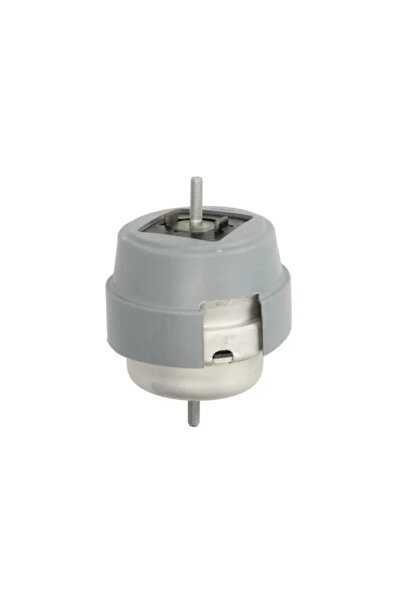 REINHOCH Suport Motor Dreapta Audi A4 B6/A4 B7 Seat Exeo 2000-2013
