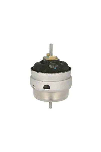 REINHOCH Suport Motor Stanga Audi A4 B6 2000-2005