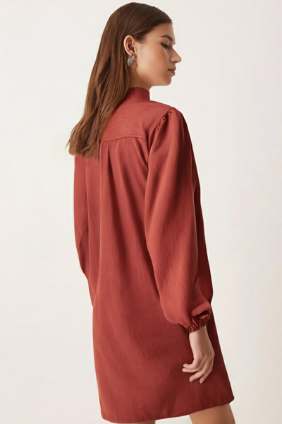 armonika Women's Salmon Collar Tie-Up Sleeves Elasticated Velvet Dress Arm-25K001087