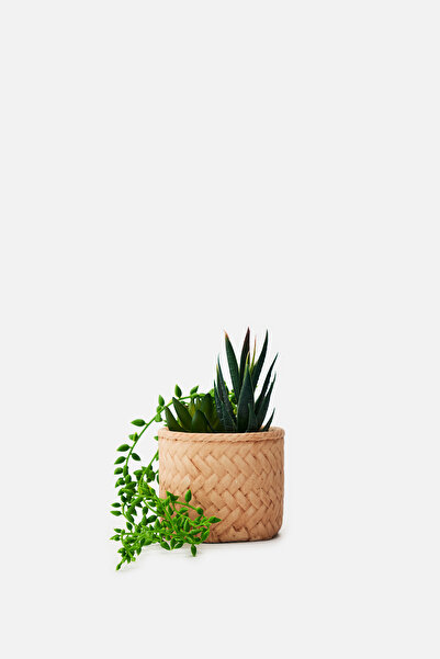 AKSWSUAR Yapay Çiçek