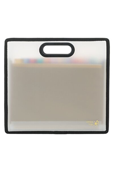 SHOPIENS A4 Frosty Organizer Briefcase, 13 Compartments, Plastic, Multicolor, Transparent