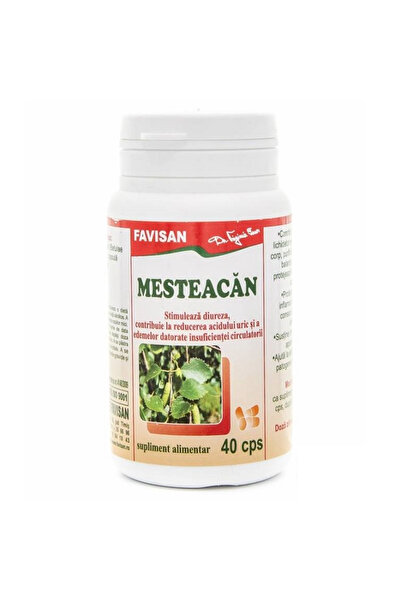 Favisan Birch, 40 capsules