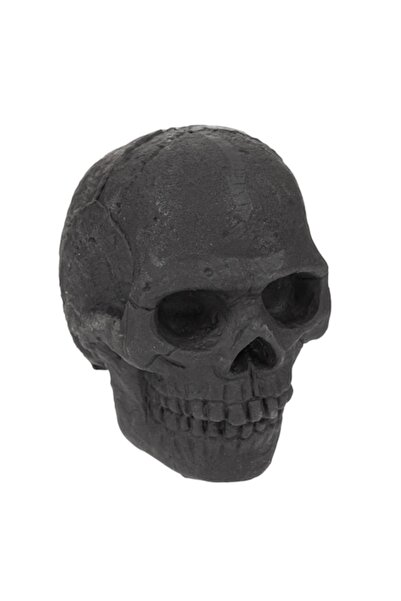 SHOPIENS Skull Model Eraser, Black, 4x4x6 cm