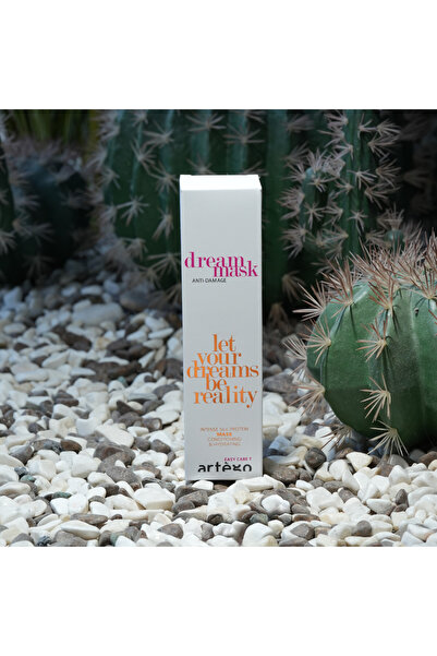 Artego İŞLEM GÖRMÜŞ SAÇLAR İÇİN ONARICI MASKE - EASY CARE T DREAM MASK
