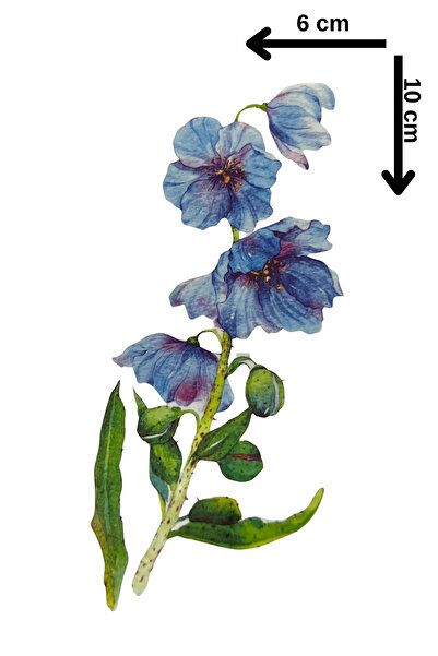 Barly Geçici Çiçek Figürlü Mini Dövme Tattoo