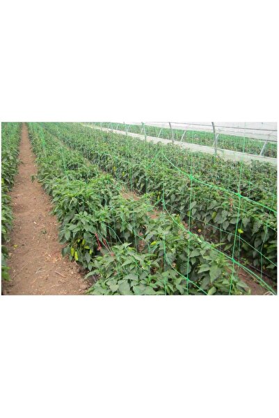 Evotools Δίχτυ για φυτά - 20 ml. Πράσινο 150x150 mm 20 x 1,7 m