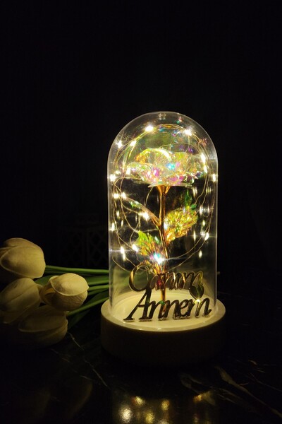 KOLAY DROP Anneler Günü Led Işıklı Sonsuzluk Gül Fanus Gece Lambası Canım Ann...