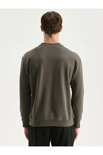 LC Waikiki Ανδρικό φούτερ με κέντημα με λαιμόκοψη