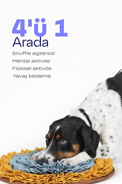 Havloo Köpek Snuffle Mat | Snuffle ve Yalama Egzersizi Bir Arada!