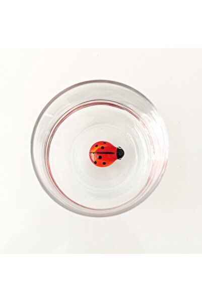 ADAMODART Ladybug Glass Figured Water Cup - Single