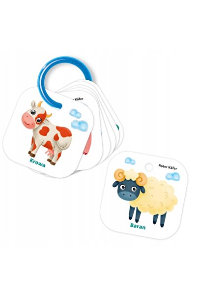 OEM Educational counting cards for children, 24 cards, 5+ years