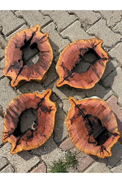Handmade Kütük, Çınar ağacı kütük, Epoksi & sehpa çalışmaları için(30-40 cm u...