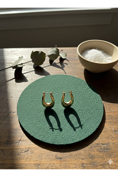 NevoAccessory أقراط دائرية نسائية من الفولاذ المقاوم للصدأ باللون الذهبي