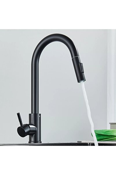 SanDonna Amelia black kitchen faucet with pull-out spray