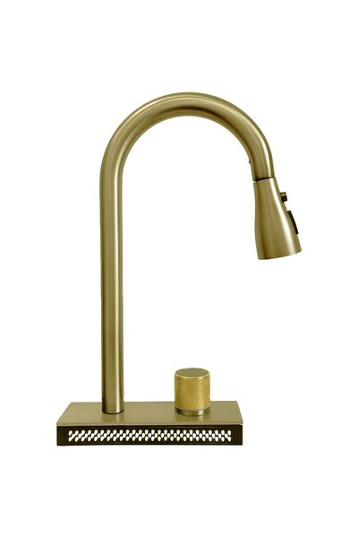 SanDonna Aster gold kitchen faucet with pull-out shower