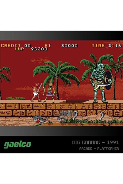 EVERCADE Gaelco Arcade 2 - A6 Multi Game Cartridge