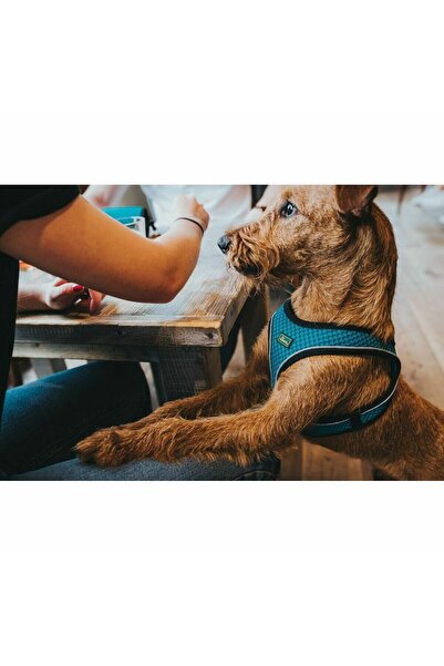 Hunter Dog Harness Black 37-42 cm Anthracite XS/S