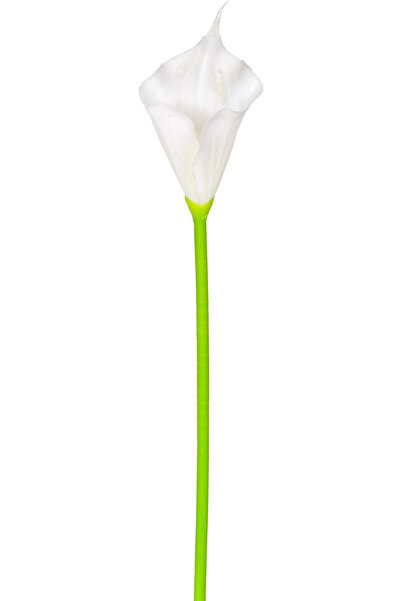 Herdekora Yapay Calla Tek Dal Beyaz 35 Cm.