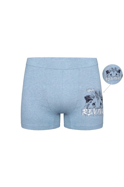 Donella 5-пачка боксерів для хлопчиків 8524B2