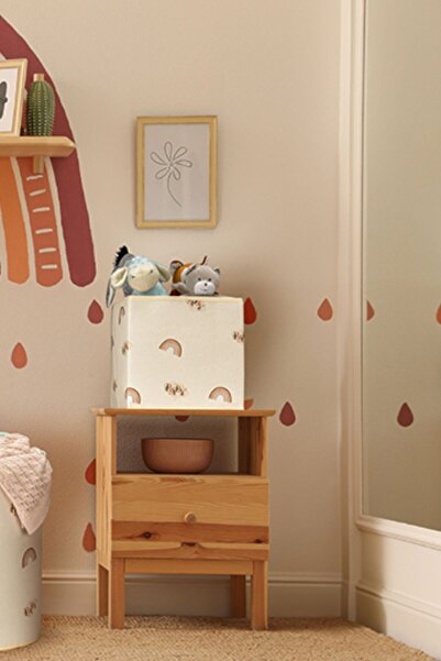 HomyJRs Baby Rainbow Printed Lidless Multi-Purpose Toy Organizer Storage Box in Cabinet 30X30X30