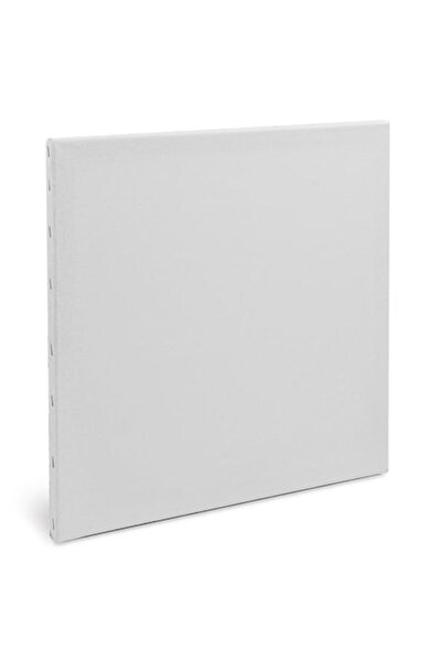 SHOPIENS Tablou Canvas Alb 40x40 cm