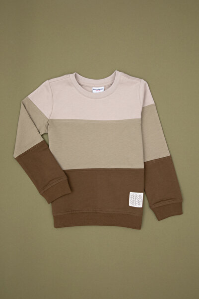 U.S. Polo Assn. Erkek Çocuk Haki Basic Bisiklet Yaka Sweatshirt 50313977-VR027