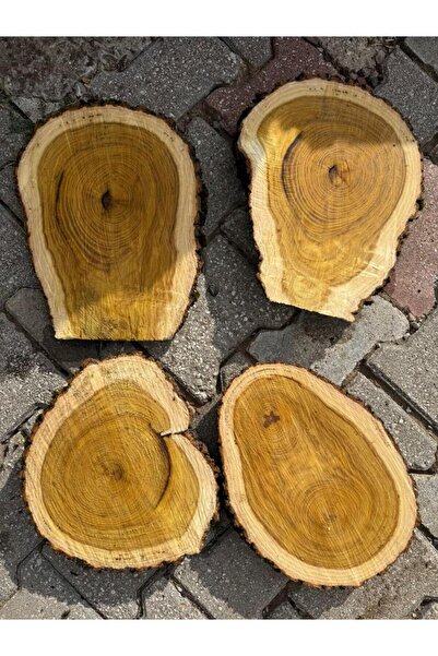 Handmade Sehpa epoksi hobi tasarım için ağaç kütük 30-40 cm aralığında kütük ...