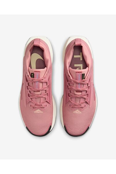 Nike Pegasus Trail 5 Gore-tex Running Kadın Spor Ayakkabı Fq0912-601
